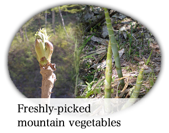Freshly-picked mountain vegetables