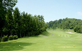 Shokawa Plateau Country Club 