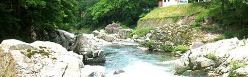 Swimming in the river