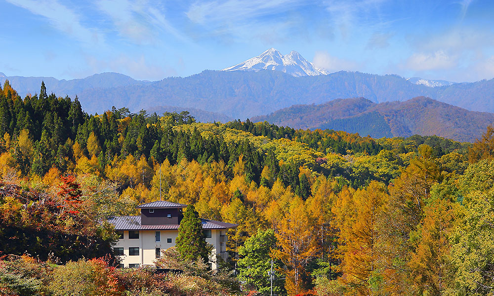 大自然荘川高原 イメージ