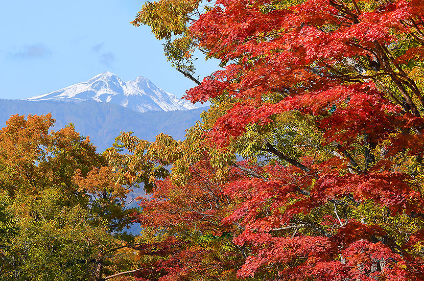 紅葉 イメージ