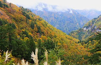 白山白川郷ホワイトロード イメージ