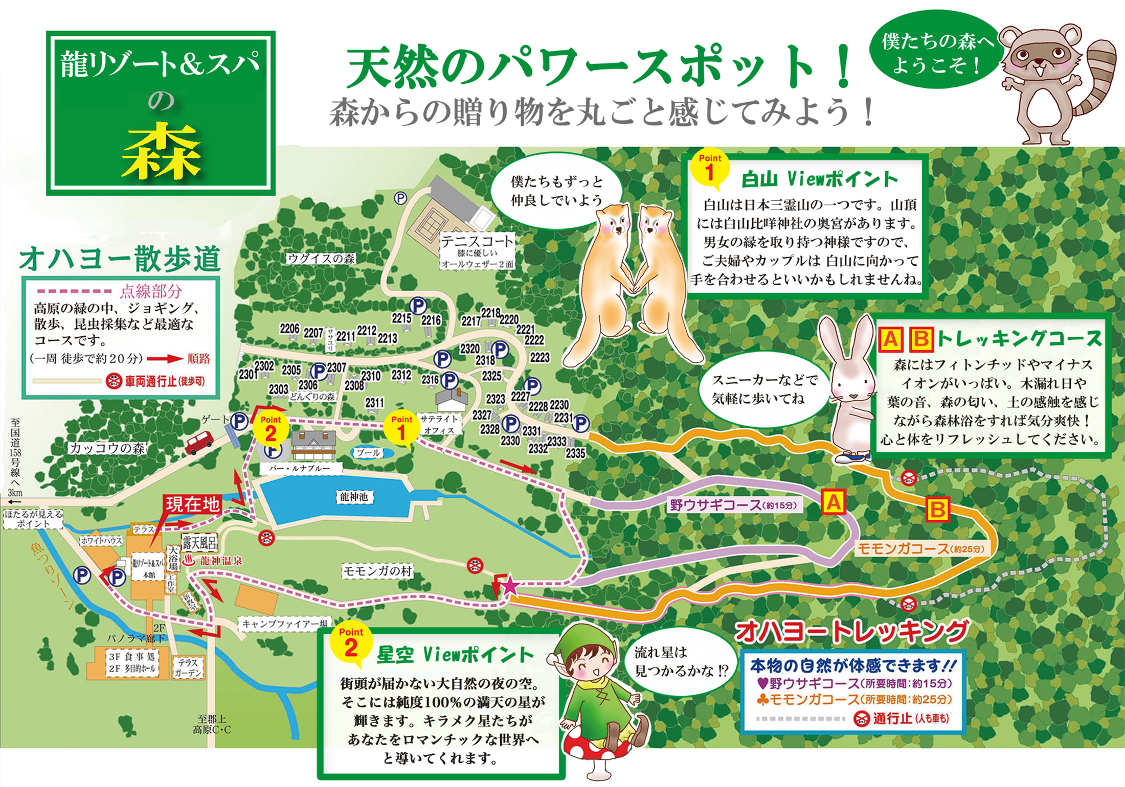 地図 イメージ
