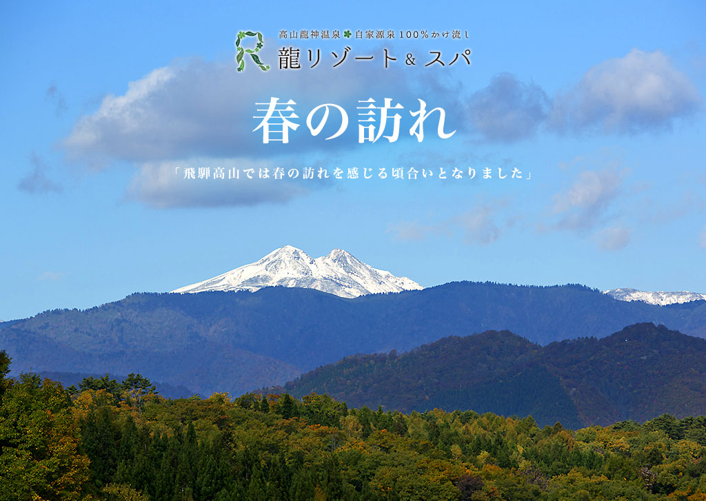 飛騨高山 春の訪れ