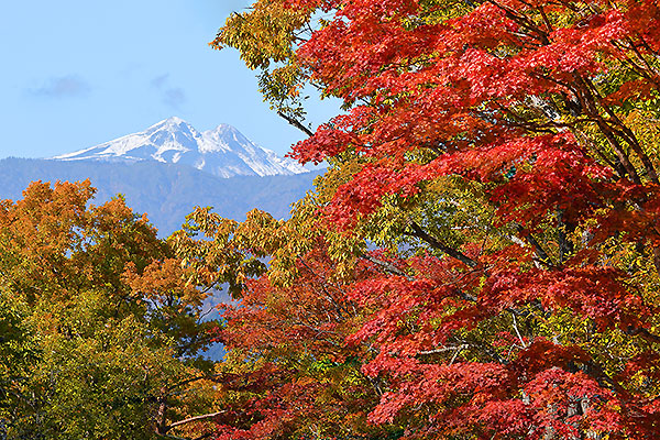 飛騨高山 紅葉